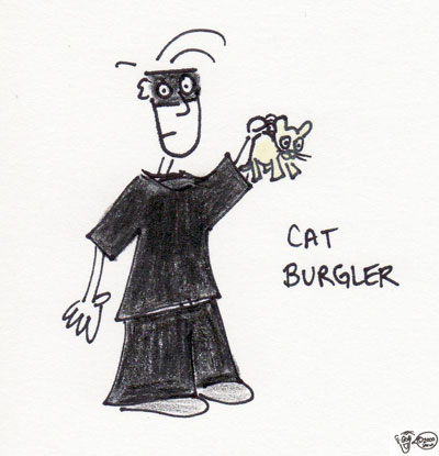 catburgler.jpg