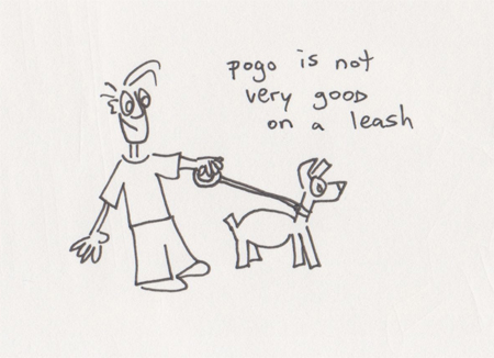Pogo has never had to be on a leash