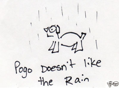 Pogo no like the rain