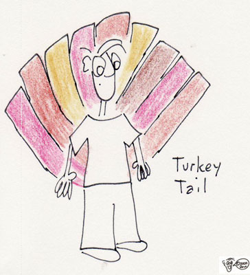 turkeytail.jpg