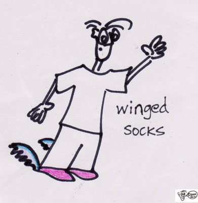 wingedsocks.jpg